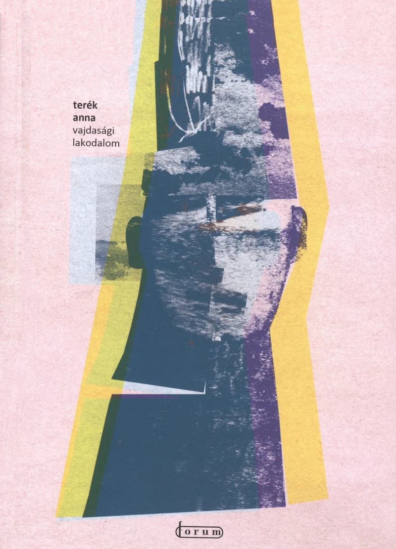 Vajdasági lakodalom